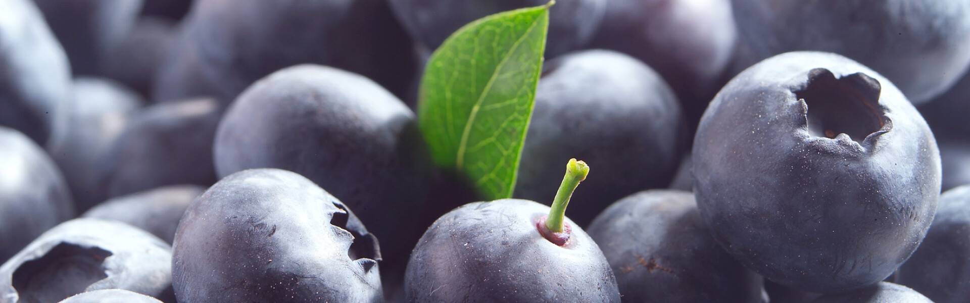 Blauwe bessen Lekker & Gezond Simply the Bes
